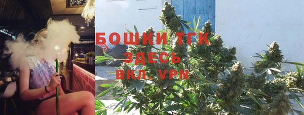 шишки Алзамай
