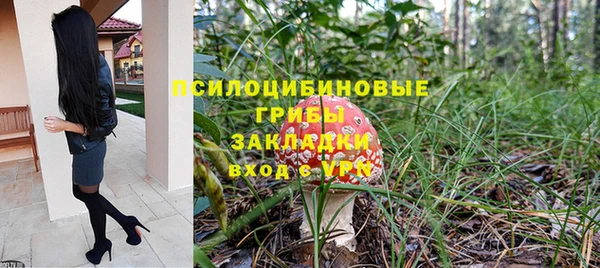 шишки Алзамай