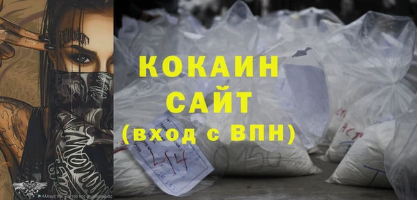 твердый Коряжма