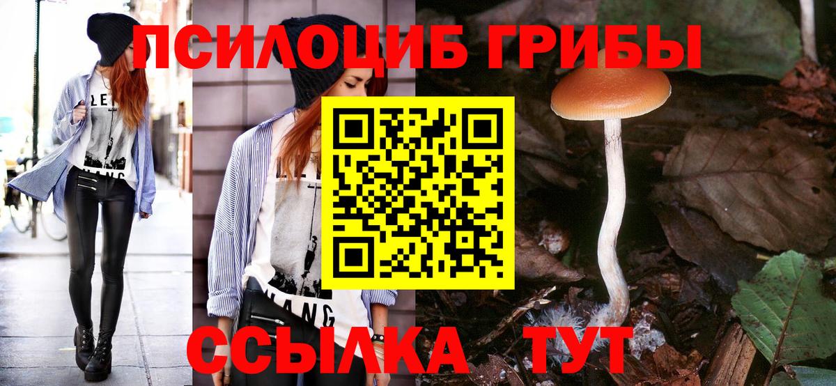 Сибай  Галлюциногенные грибы MAGIC MUSHROOMS  Псилоцибиновые грибы Psilocybine cubensis  где продают наркотики  Вход с VPN 